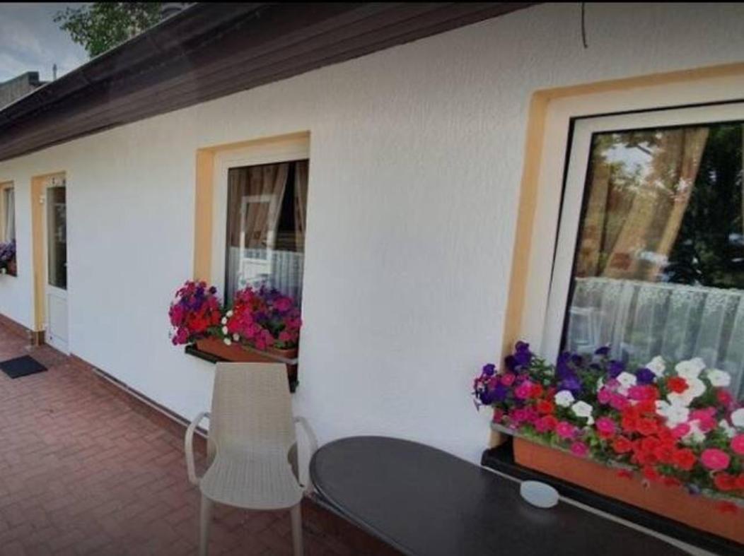 Schoene Geraeumige Ferienwohnung Am Park Heringsdorf  Exteriör bild